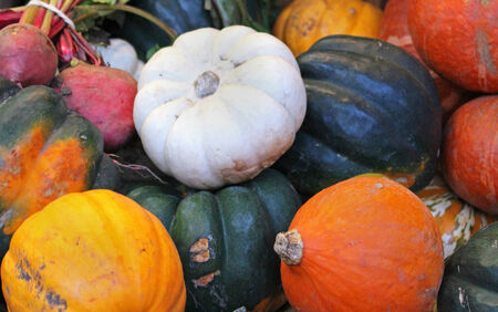 Big pile of decorative festive small pumpkinsの写真素材