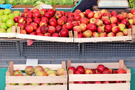 Organic apples in wooden crates on market stallの写真素材