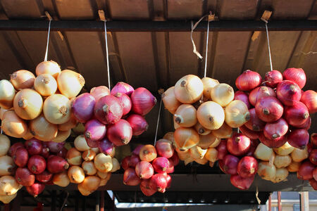Fresh organic onions hanging from market stallの写真素材