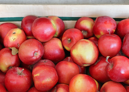 Big pile of fresh organic red applesの写真素材