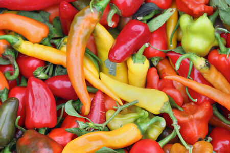 Big pile of colorful hot spicy peppersの写真素材