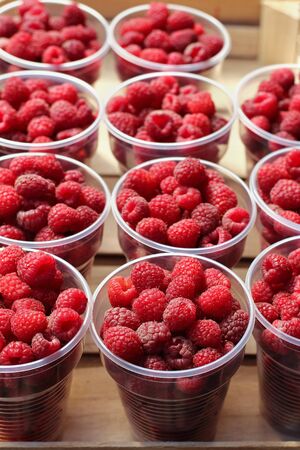 Fresh ripe raspberries inside plastic cups sold on marketの写真素材