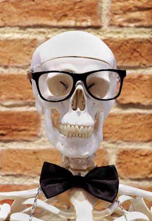 Human skeleton model with eyeglasses and bow tieの写真素材