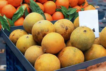 Fresh organic melons pile sold on marketの写真素材