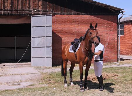 Jockey preparing horse for the races in front of stableの写真素材
