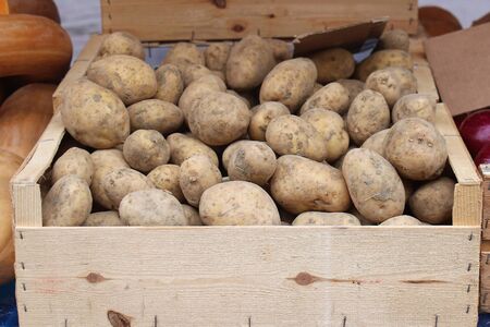 Wooden crate full of dirty organic potatoesの写真素材