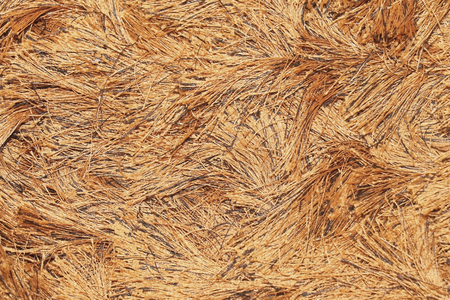 Beige wool carpet strings fibre texture backgroundの写真素材