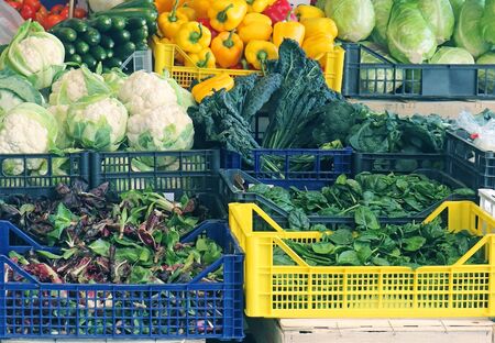 Plastic crates full with fresh organic vegetables on market stallの写真素材