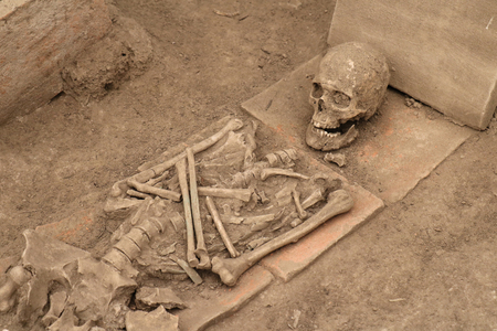 Human bones skeleton covered with dirty dustの写真素材