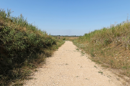 Empty road inside rural environment during sunny dayの写真素材
