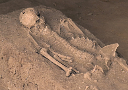 Human body skeleton with bones covered by dirty sandの写真素材