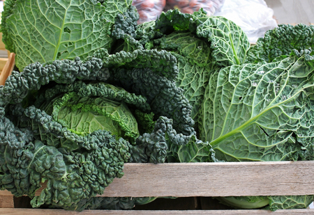 Fresh organic kale cabbage with large green leaves on marketの写真素材