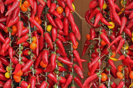 Red hot spicy chillyi peppers hanging on market placeの写真素材