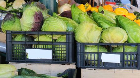Green cabbage and other vegetables in plastic crates sold on marketの写真素材