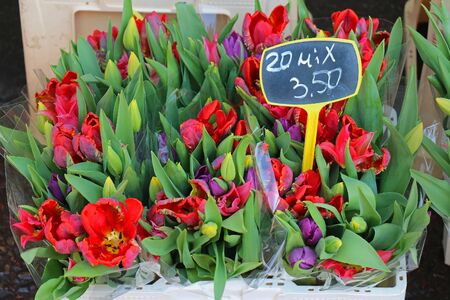 Colorful poppy flowers sold on Amsterdam streetの写真素材