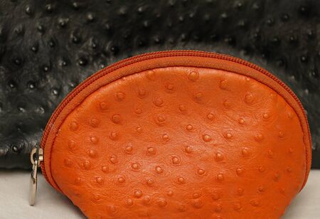 Ostrich leather texture pattern on fashion accessoriesの写真素材