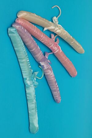 Decorative fashion pastel silk lined color hanger accessoriesの写真素材