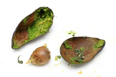 Freshly peeled avocado skin on white backgroundの写真素材