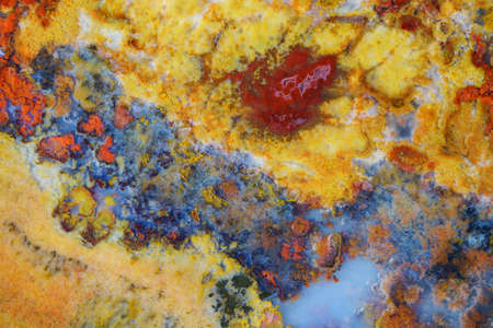 Macro cut and polished agate abstract backgroundの写真素材