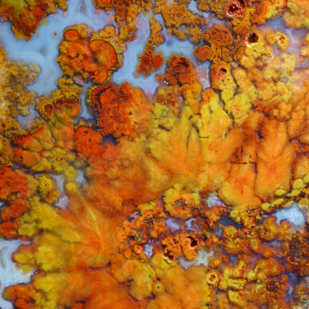 Cut and polished macro agate abstract backgroundの写真素材