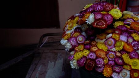 Multi colored small daisies. Spring or summer creative composition in minimal style.の写真素材