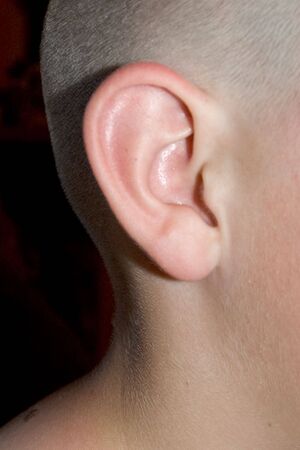 childs earの写真素材