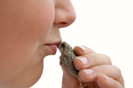 an isolation of a child kissing a frogの写真素材
