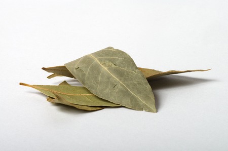 Bay Leafの写真素材
