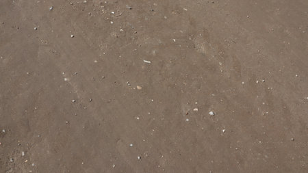 closeup of sand in a beach with pebbles and shellsの写真素材