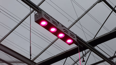 Red LED light on the roof of a building with wires and cables, flower led lights greenhouse, plant grow lampsの写真素材
