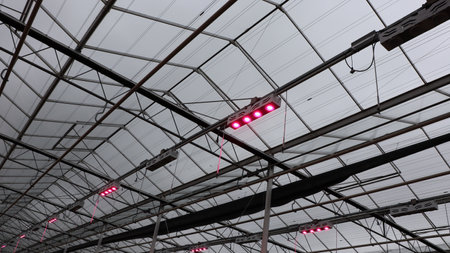 Ceiling of a modern greenhouse with red lights in the evening, red, flower led lights greenhouse, plant grow lampsの写真素材