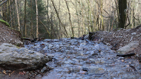 Mountain stream in the forest in early spring. Earlyspring.の写真素材