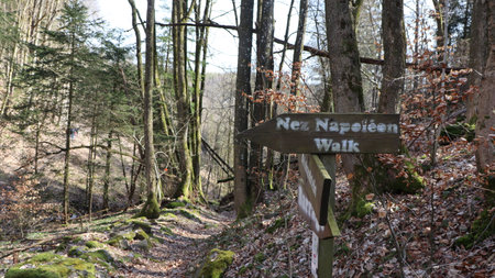Wooden signpost in the forest with a hiking trail in the backgroundの写真素材