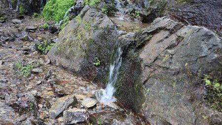 waterfall in the forest, closeup of photo, nature seriesの写真素材
