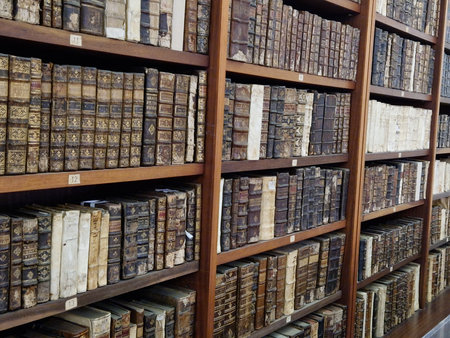 old books on a shelf in a library, closeup of photoの写真素材