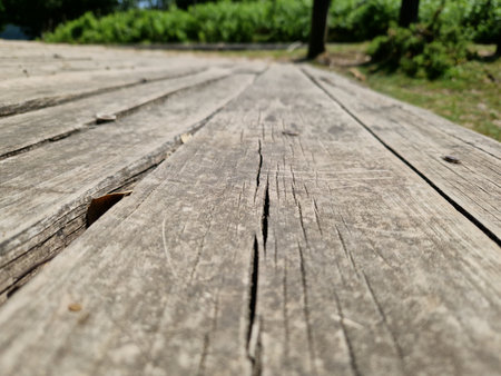 Wooden walkway in the park, close up, selective focusの写真素材
