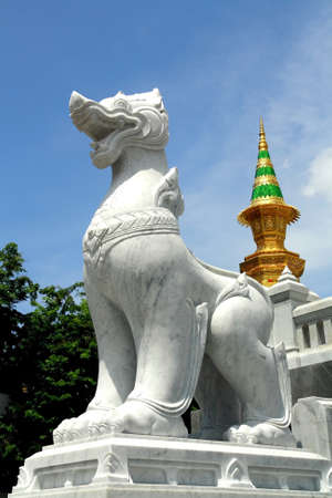 Leo in templeの写真素材