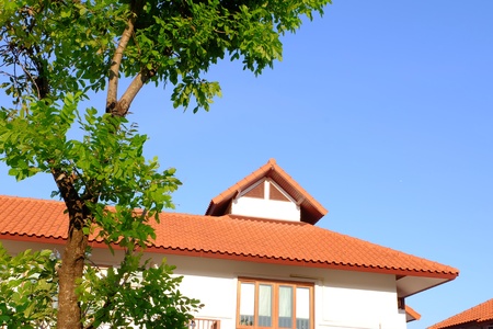 Tropical style house in villageの素材