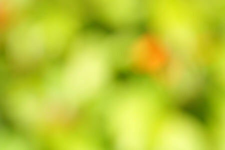 natural color background out focusの写真素材
