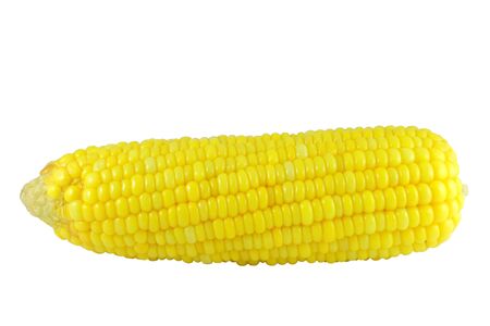 corn on white backgroundの写真素材