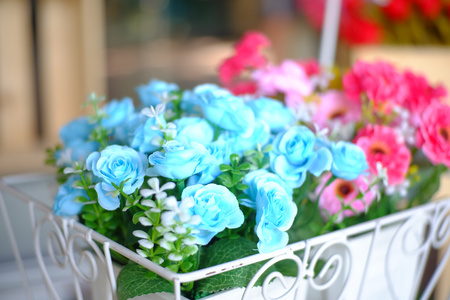 flower in garden natureの写真素材