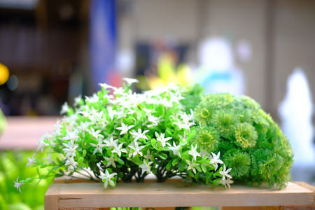 flower in garden natureの写真素材