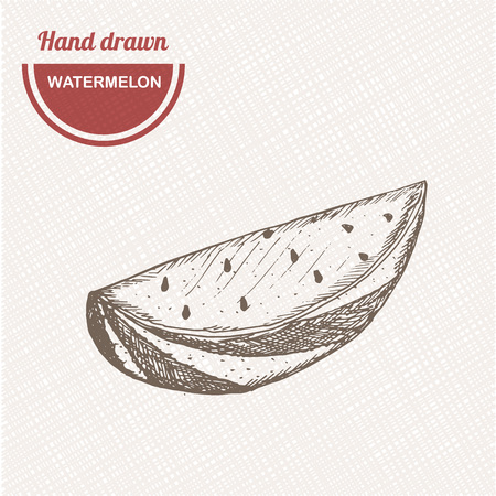 Sketches watermelon composition. Hand drawn watermelon. Vintage sketch style illustration.のイラスト素材