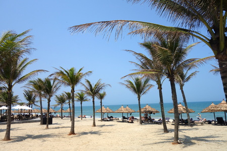 Hoi An, Da Nang, Vietnam - March 16, 2018: Tourists enjoying the sun on An Bang beach with lines of coconut trees, straw umbrellas and turquoise waterのeditorial素材