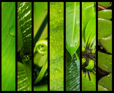 The Colorful of the leaves in the black frame.の写真素材