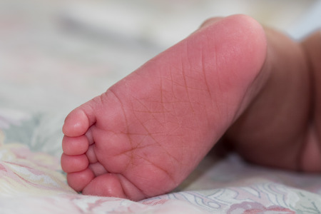 Feet of newborn baby close up.の写真素材
