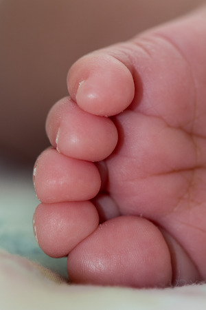 Feet of newborn baby close up.の写真素材