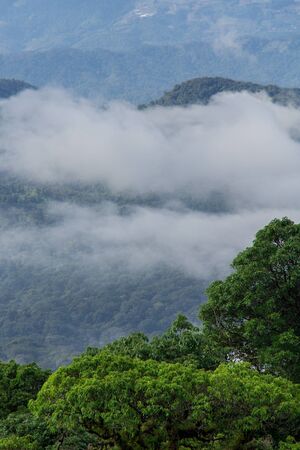 Landscape of sunrise at Doi Inthanon,  Thailand.の写真素材