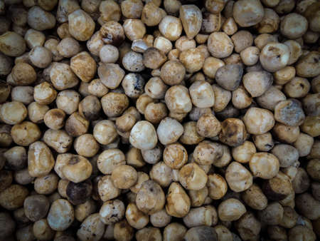 Mushrooms background close up in the market.の写真素材