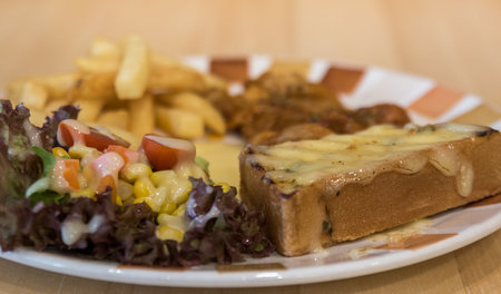 Grilled chicken with french fries served with salad.の写真素材